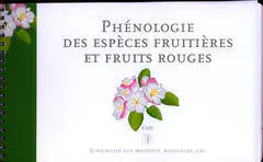 Phénologie des espèces fruitières et fruits rouges : sensibilité aux maladies, ravageurs, gel