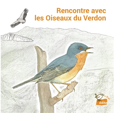 Rencontre avec les oiseaux...