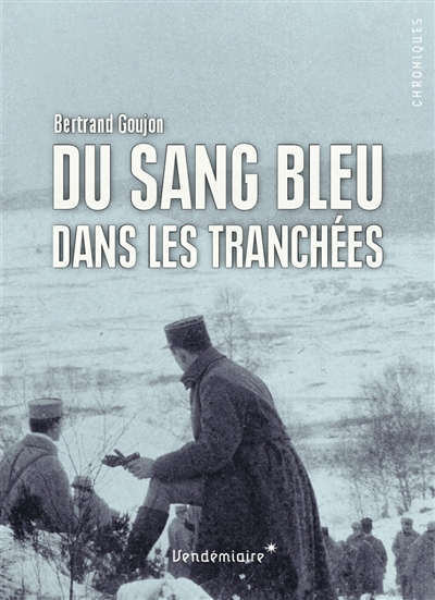 Du sang bleu dans les tranchées : expériences militaires de nobles français durant la Grande Guerre