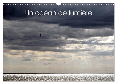 Un océan de lumière (Calendrier mural 2025 DIN A3 vertical), CALVENDO calendrier mensuel : Jeu de lumière sur l'océan et la mer