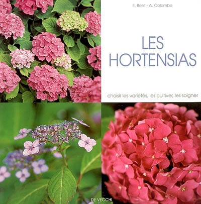 Les hortensias : choisir les variétés, les cultiver, les soigner