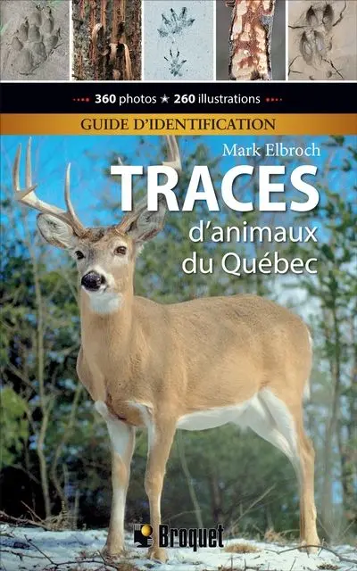 Traces d'animaux du Québec : Guide d'identification