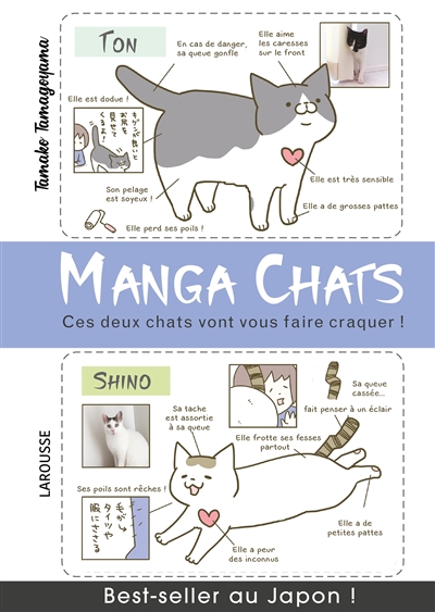 Manga chats : ces deux chats vont vous faire craquer !