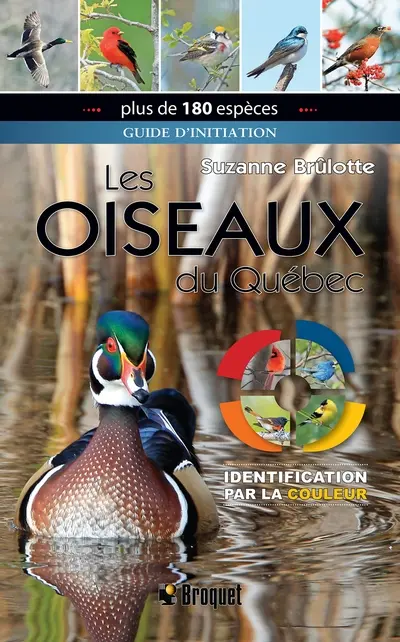 Les oiseaux du Québec : Guide d'initiation : Identification par la couleur