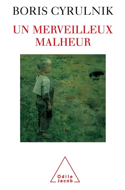 Un merveilleux malheur