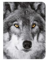 Loup