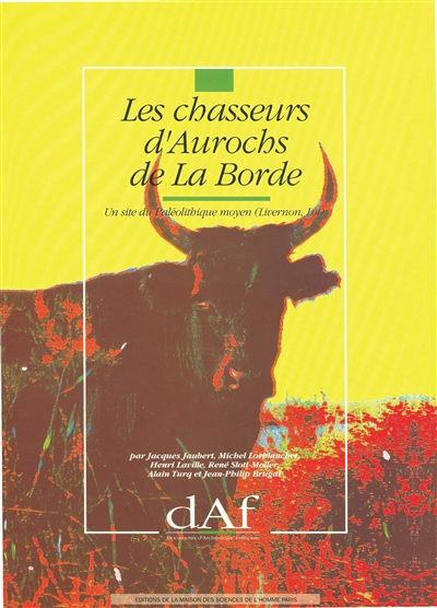 Les Chasseurs d'aurochs de La Borde : un site du paléolithique moyen (Livernon, Lot)