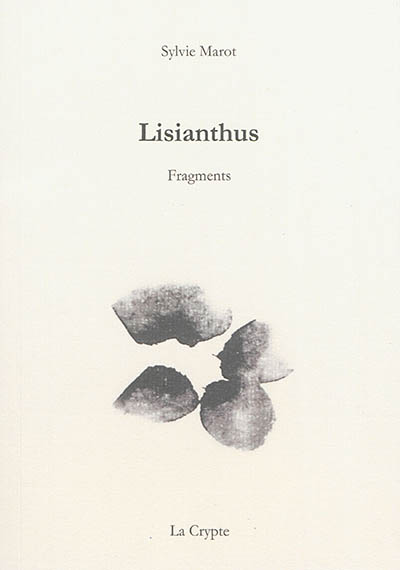 Lisianthus : fragments