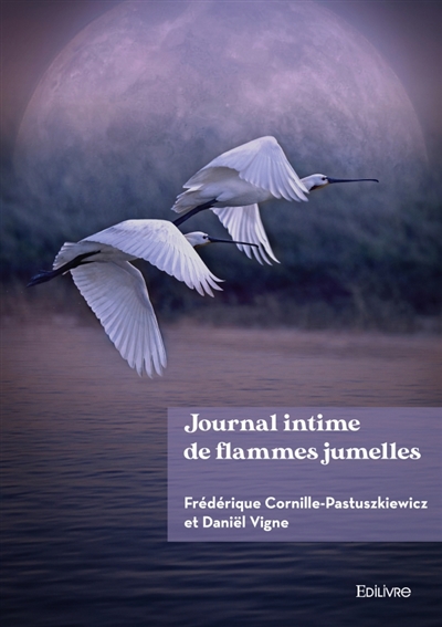 Journal intime de flammes...