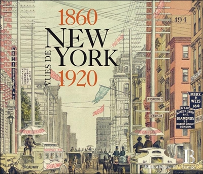 Vues de New York, 1860-1920