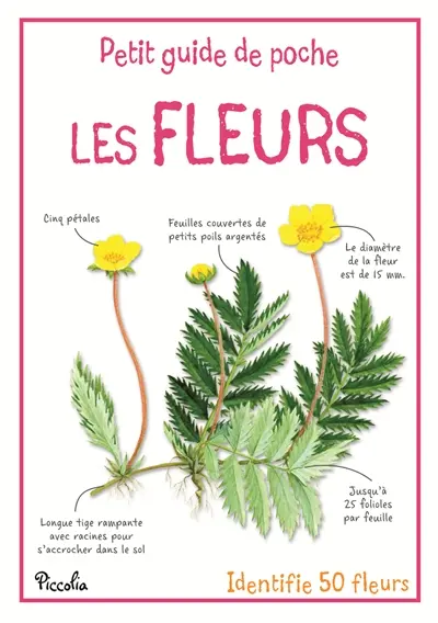 Les fleurs : identifie 50 fleurs