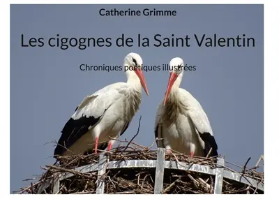 Les cigognes de la Saint Valentin : Chroniques poétiques illustrées