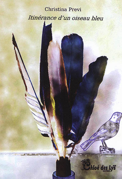 Itinérance d'un oiseau bleu