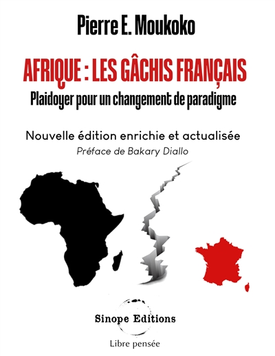 Afrique : Les gâchis français : Plaidoyer pour un changement de paradigme