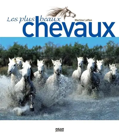 Les plus beaux chevaux