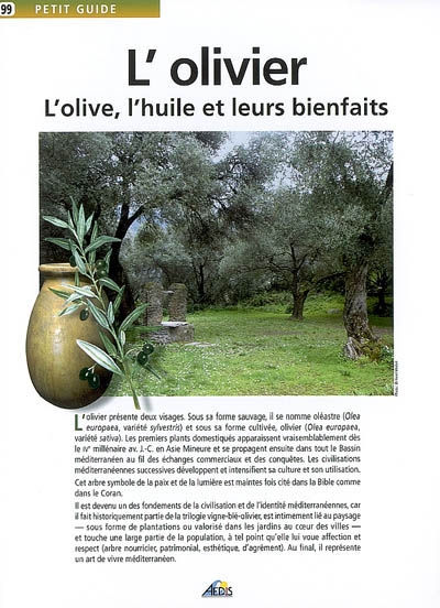 L'olivier : l'olive,...