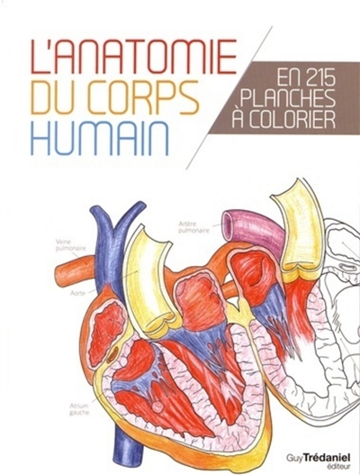 Le corps humain : l'anatomie du corps humain en 215 planches à colorier