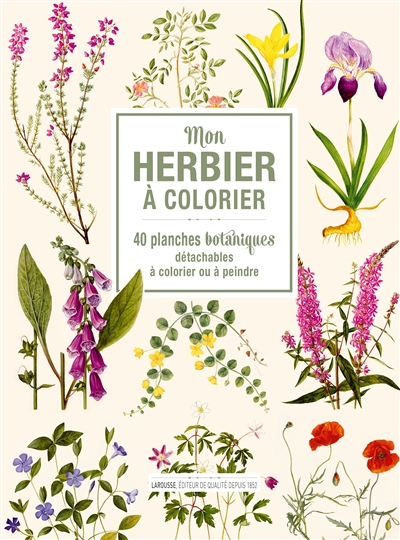 Mon herbier à colorier : 40 planches botaniques détachables à colorier ou à peindre