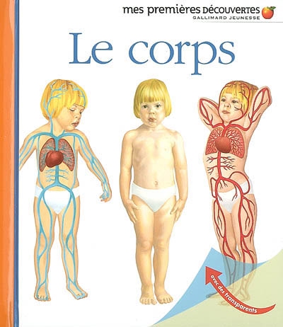 Le corps