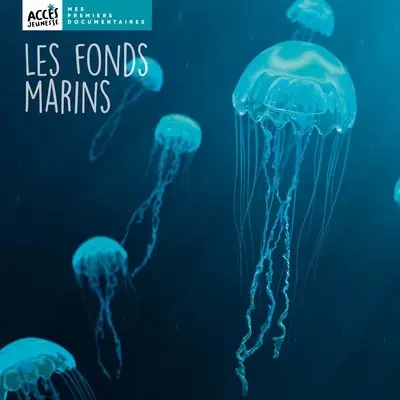 Les fonds marins