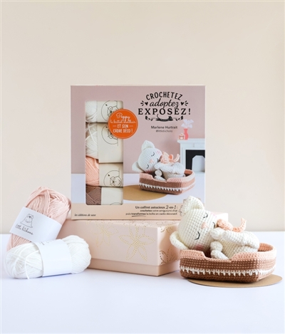Poppy la british shorthair : et son cadre déco !