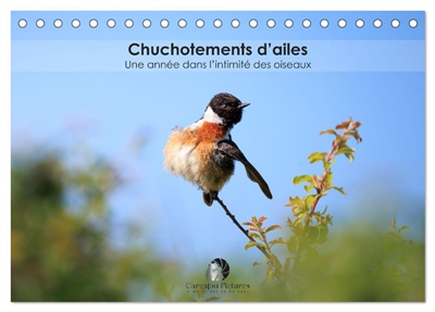 Chuchotements d'ailes : Une...