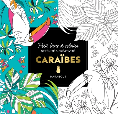 Caraïbes : petit livre à colorier : sérénité & créativité