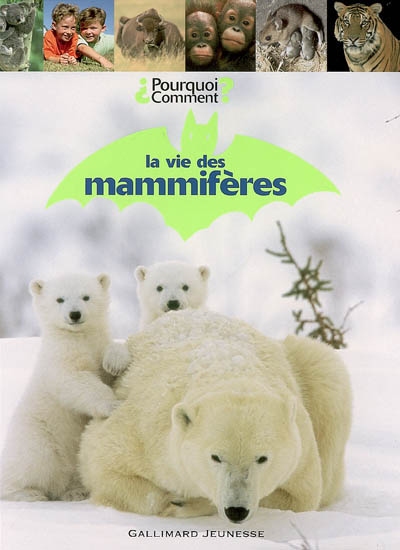 La vie des mammifères