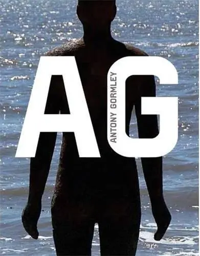 Antony Gormley (Modern Artists Series)