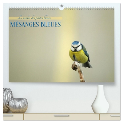 Mésanges bleues (Calendrier...