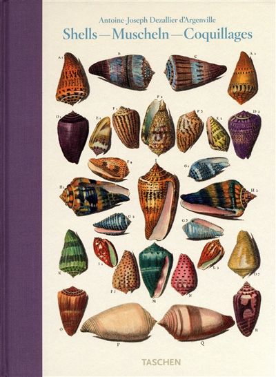 Shells : conchology or the natural history of sea, freshwater, terrestrial and fossil shells 1780. Muscheln. Coquillages