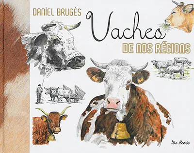 Vaches de nos régions