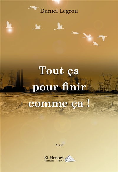Tout ça pour finir comme ça ! : essai