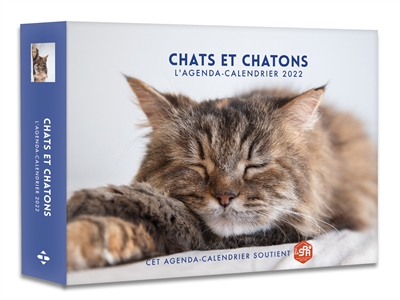 Chats et chatons : l'agenda-calendrier 2022