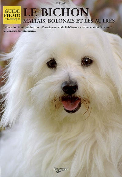 Le bichon : maltais, bolonais et les autres