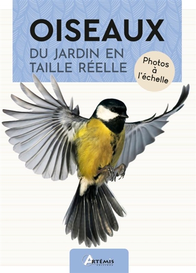 Oiseaux du jardin en taille...