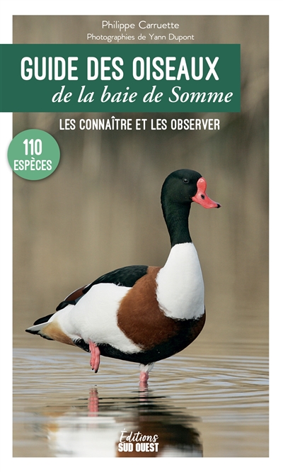 Guide des oiseaux de la baie de Somme : 110 espèces à découvrir, où les observer
