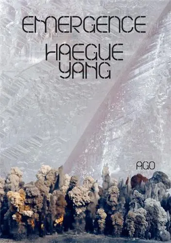Haegue Yang Emergence