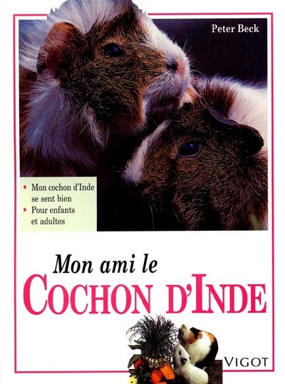 mon ami le cochon d'inde