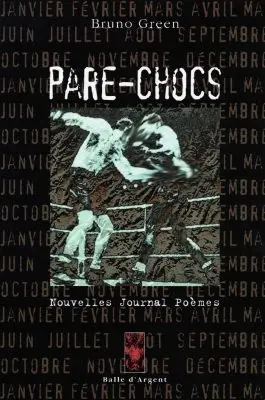Pare-chocs : nouvelles, journal, poèmes