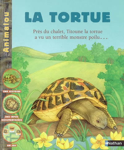 La Tortue