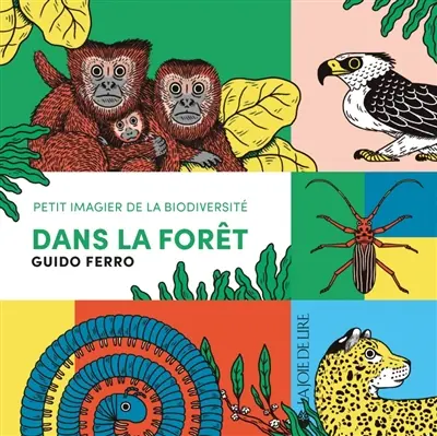 Dans la forêt : petit imagier de la biodiversité