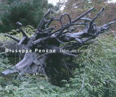 Giuseppe Penone, Arbre des voyelles