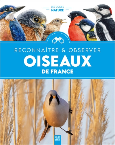 Oiseaux de France : reconnaître et observer