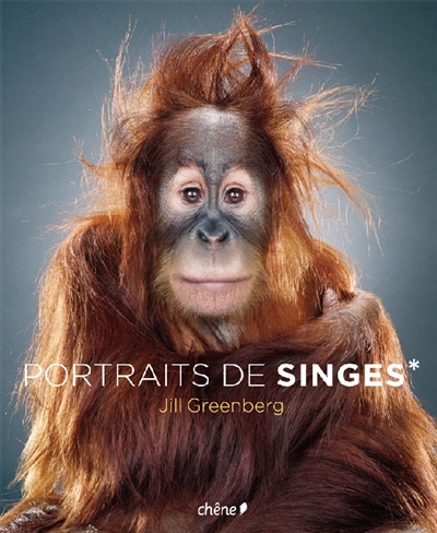 Portraits de singes