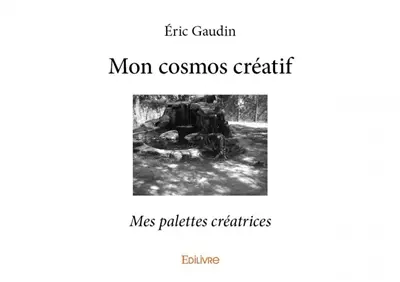 Mon cosmos créatif : Mes palettes créatrices