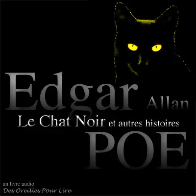 Le chat noir : et autres histoires
