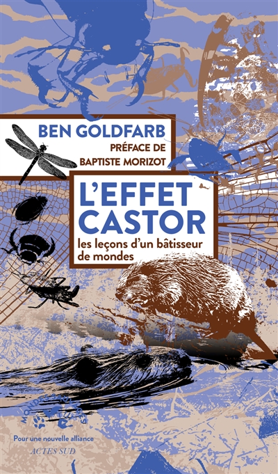 Bâtisseurs de mondes : le génie des castors face au défi climatique