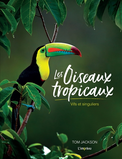 Les oiseaux tropicaux : vifs et singuliers