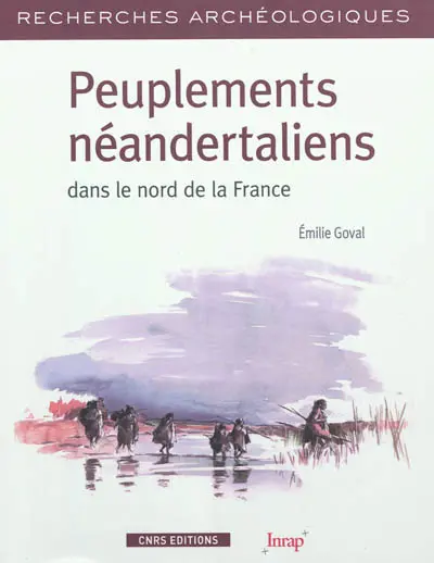 Peuplements néandertaliens dans le nord de la France : territoires, industries lithiques et occupations humaines durant la phase récente du paléolithique moyen